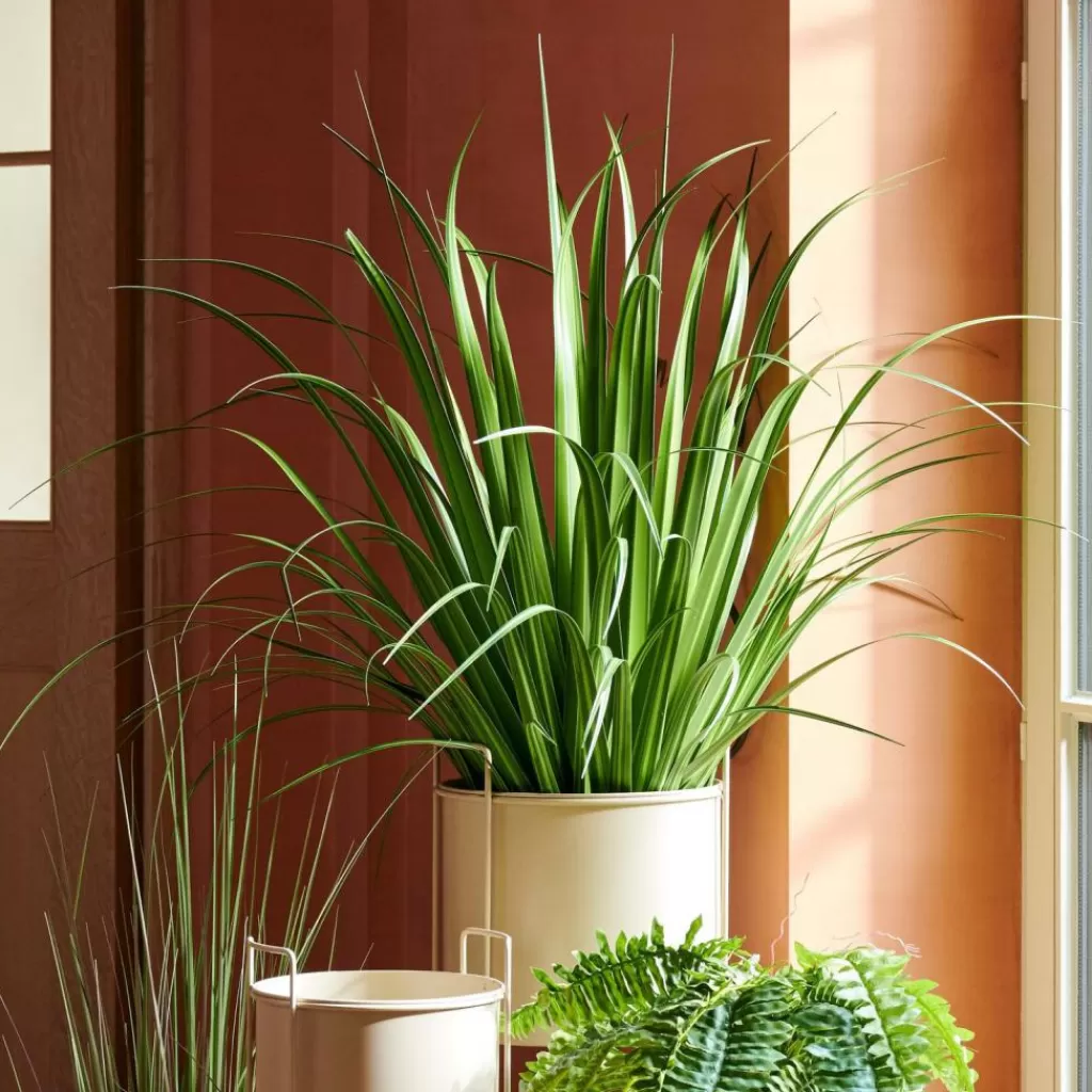New CASA ALLIUM Relva Decorativa Verde