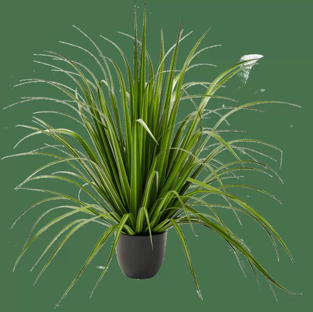 New CASA ALLIUM Relva Decorativa Verde