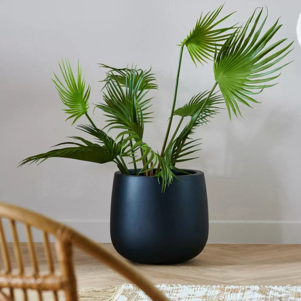 Clearance CASA ARECA Palmeira Verde
