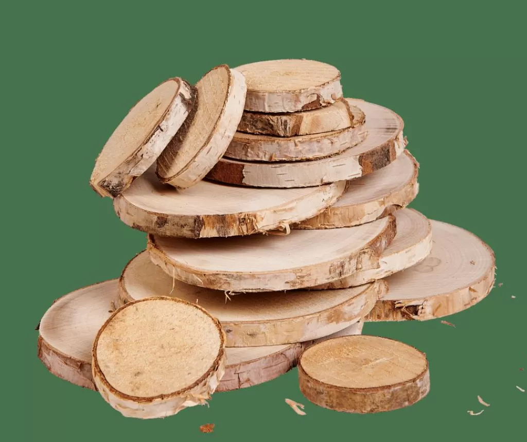 Flash Sale CASA BIRCH Bétula Decorativa 15 Unidades Natural