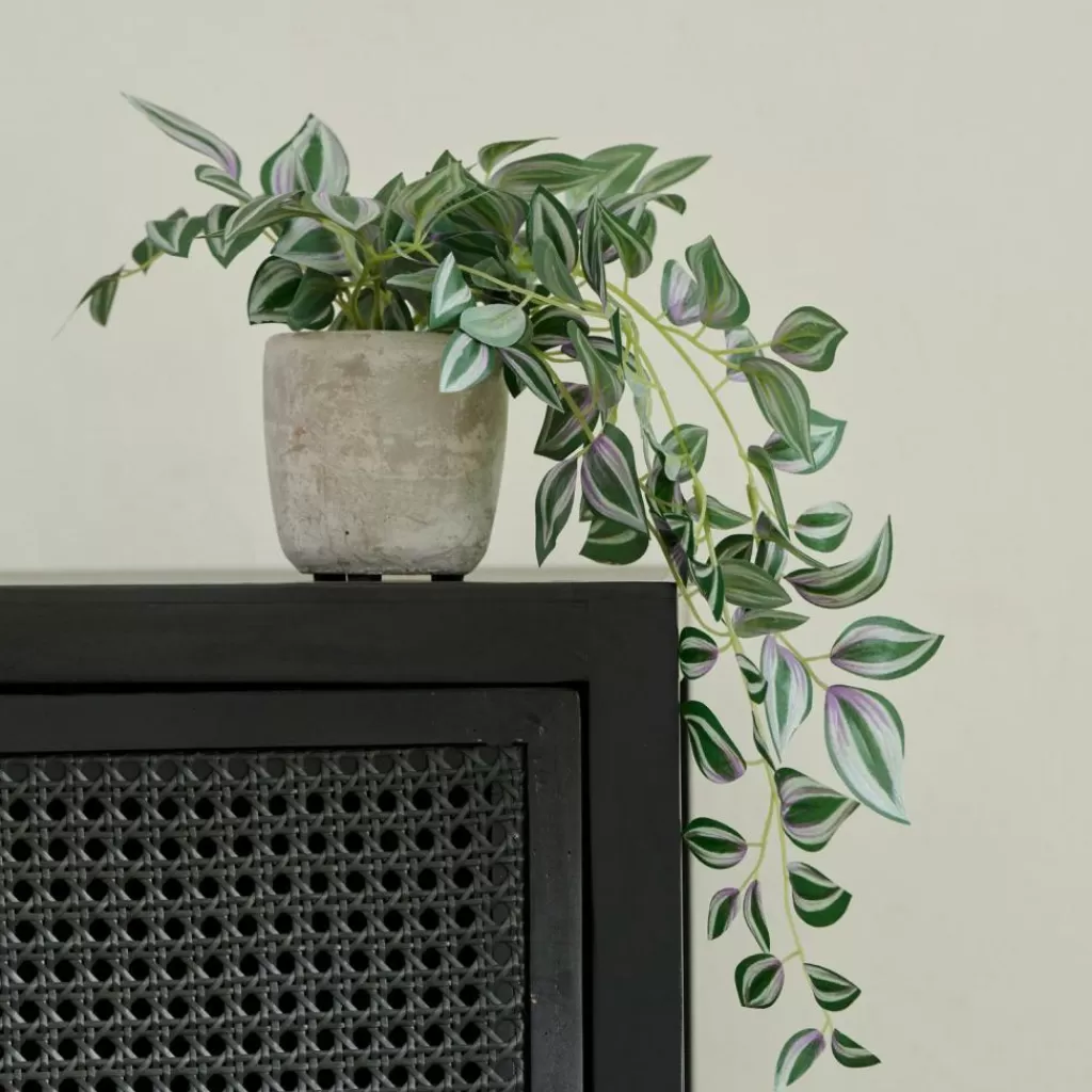 Fashion CASA CALATHEA Planta Pendente Cinzento, Verde, Roxo