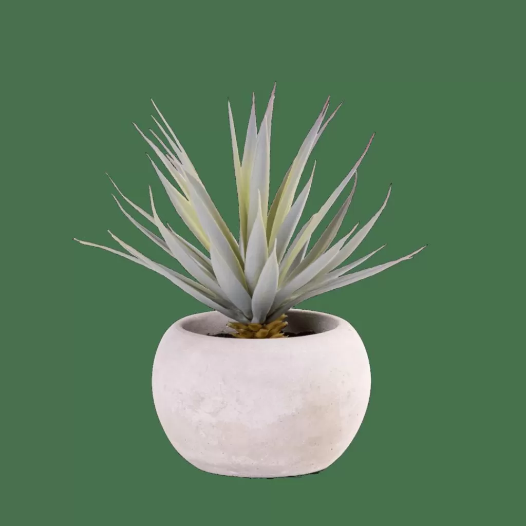 Clearance CASA CEMENT Crássula Artificial Em Pote Cinzento