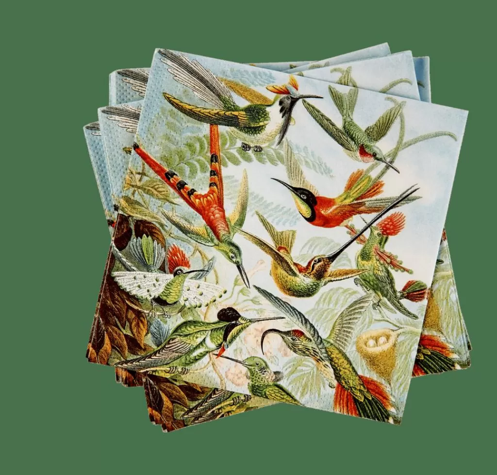 Store CASA COLIBRI Guardanapos Conjunto De 20 Multicolor