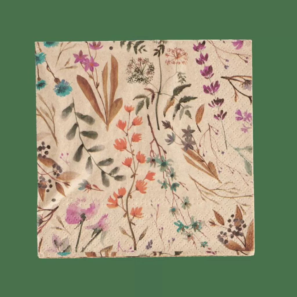 Discount CASA ECO DRIED FLOWER Guardapos Conjunto De 20 Multicolor