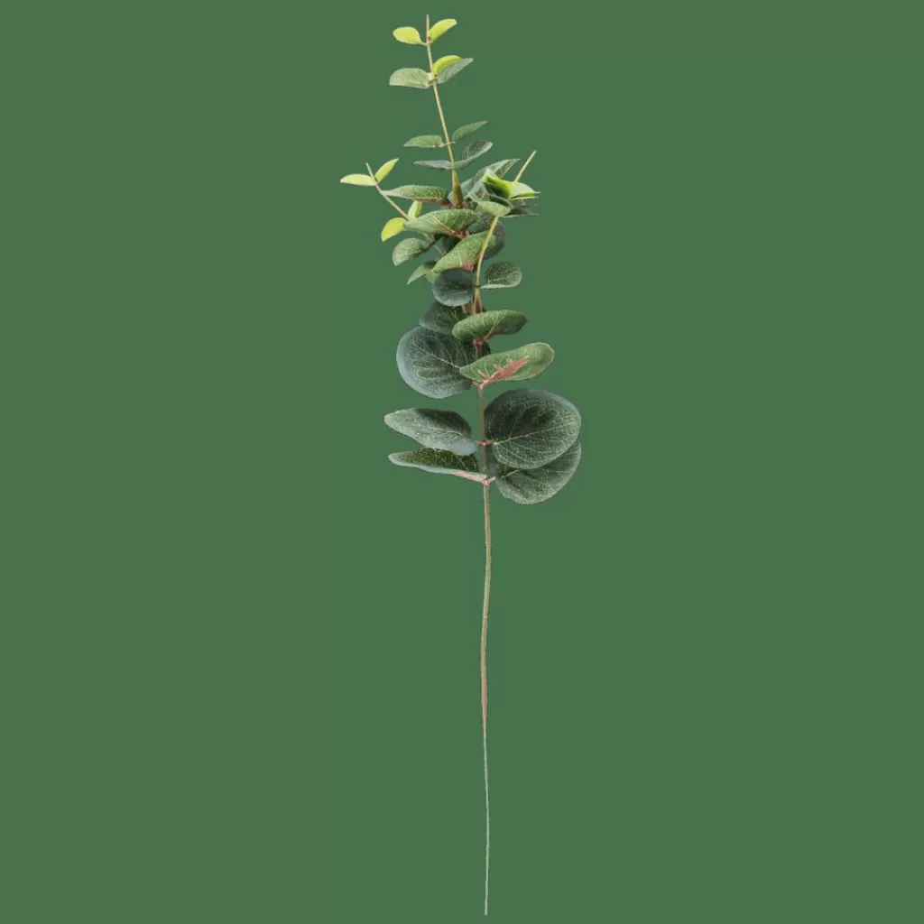 New CASA EUCALYPTUS Ramo Artificial Verde