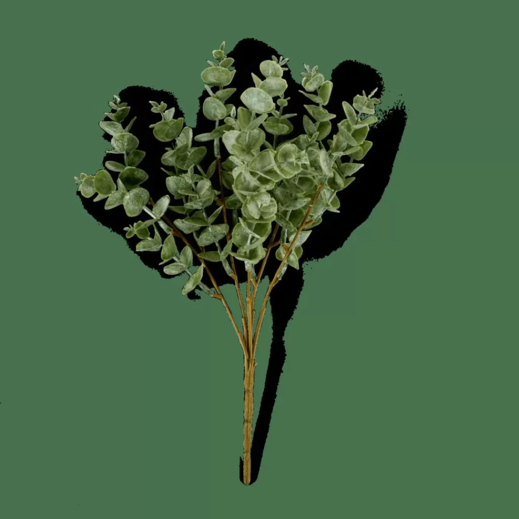 Sale CASA EUCALYPTUS Ramo De Eucalipto Verde