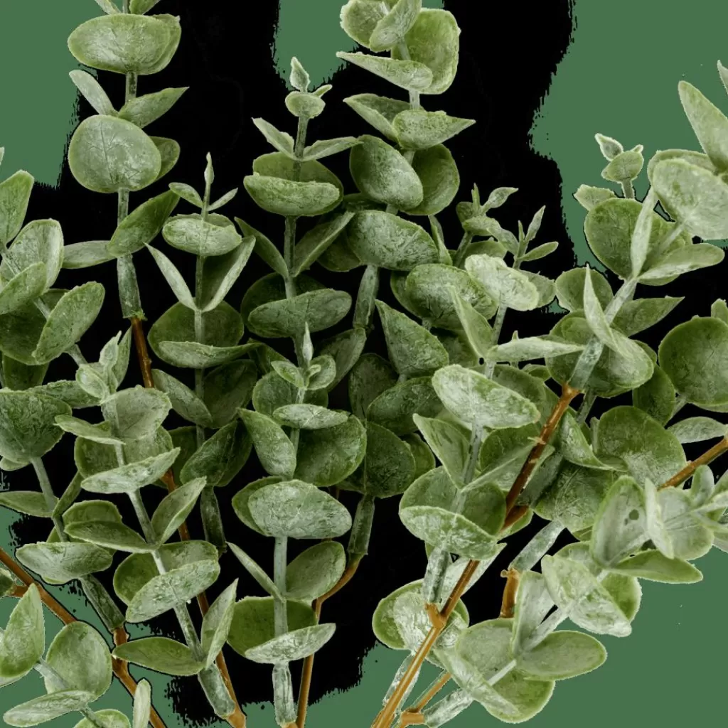 Sale CASA EUCALYPTUS Ramo De Eucalipto Verde
