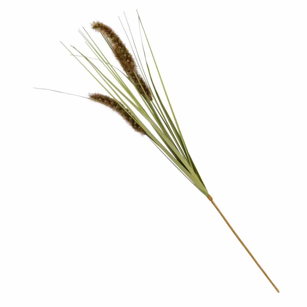 Store CASA GRASS Feixe De Relva Verde