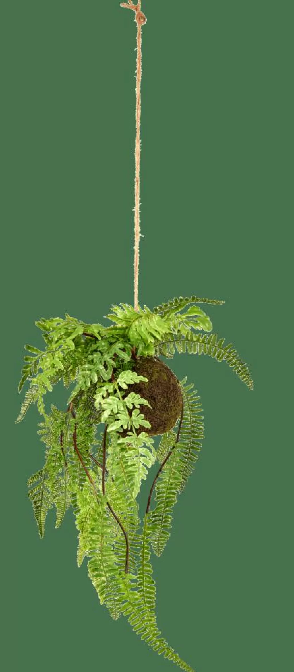Best Sale CASA GREENERY Vaso Para Pendurar Com Samambaia Verde