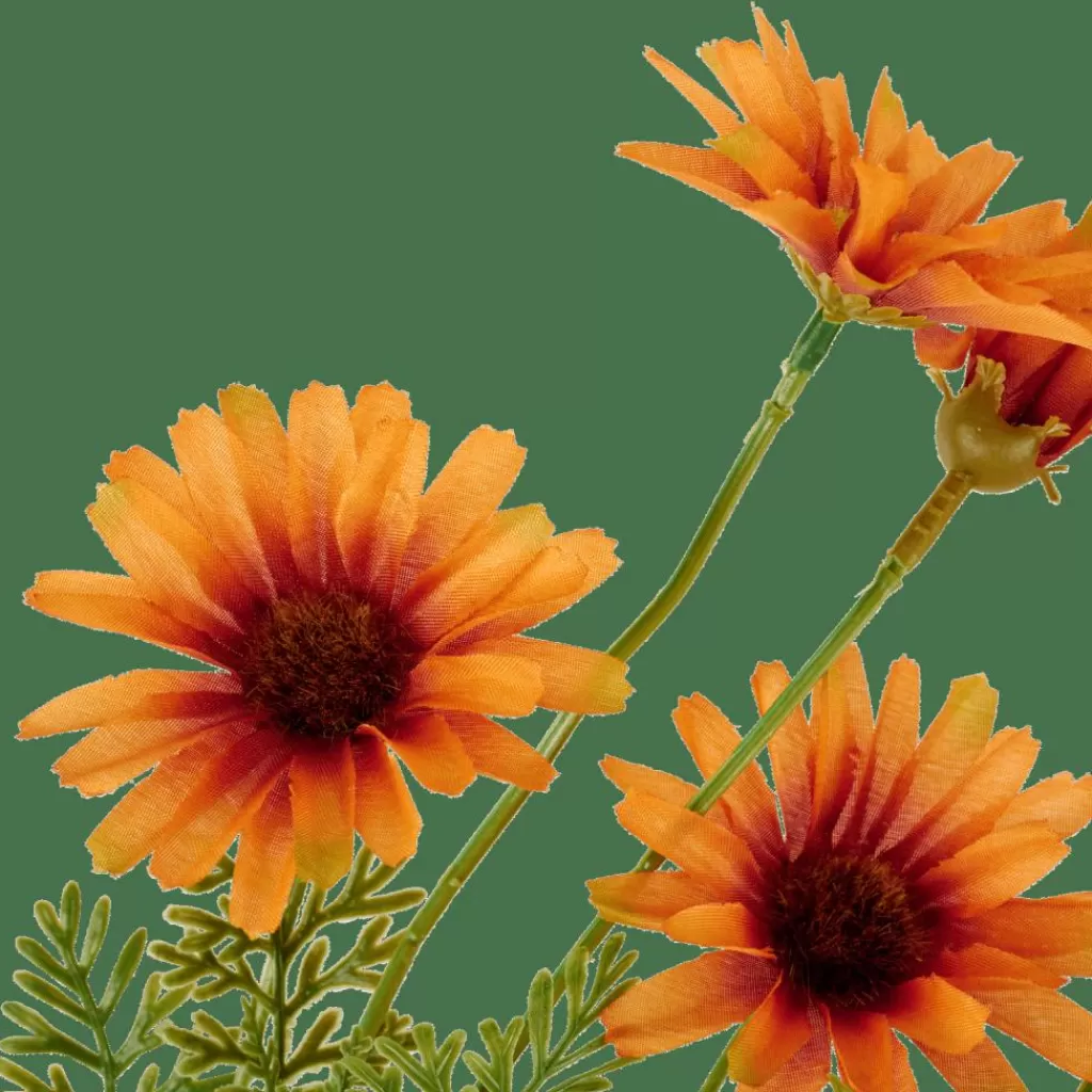 Online CASA INDI Crisântemo Cor-de-laranja