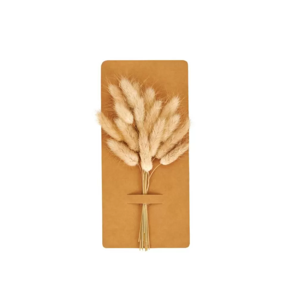 Discount CASA MINA Deco Seco Castanho