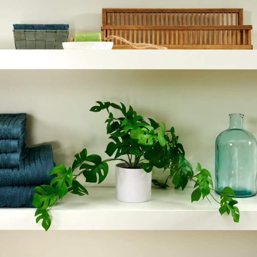Fashion CASA MONSTERA Planta Diversas Cores, Branco, Verde