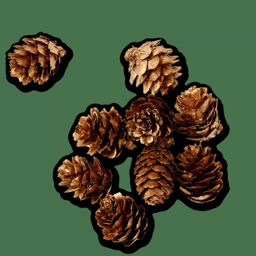 Flash Sale CASA PINECONE Deco Para Espalhar Dourado