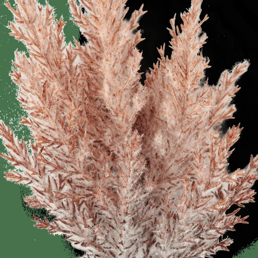Hot CASA PLUME Caule Com Plumas Cor-de-laranja