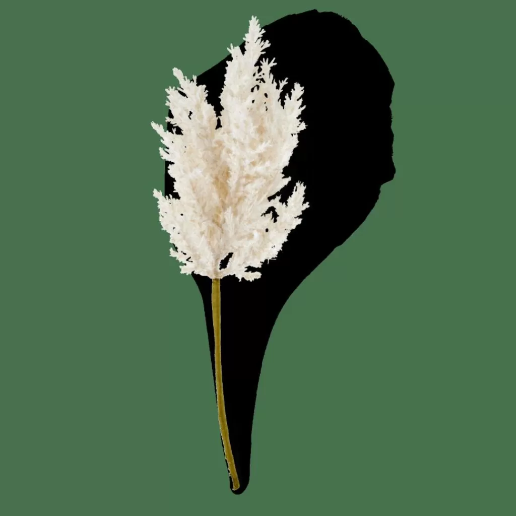 Clearance CASA PLUME Caule Cru