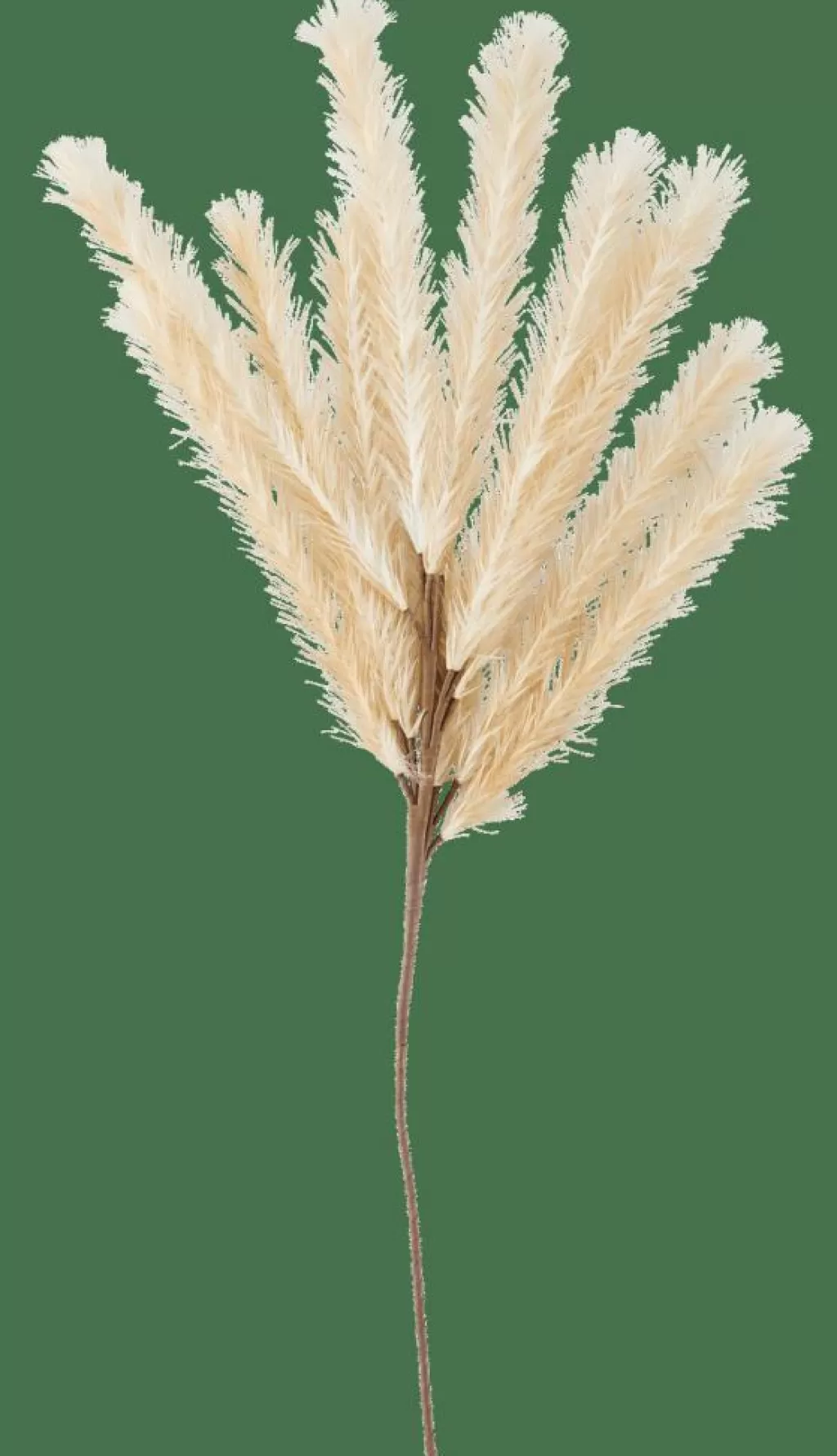 Cheap CASA PLUME Pena Artificial Bege