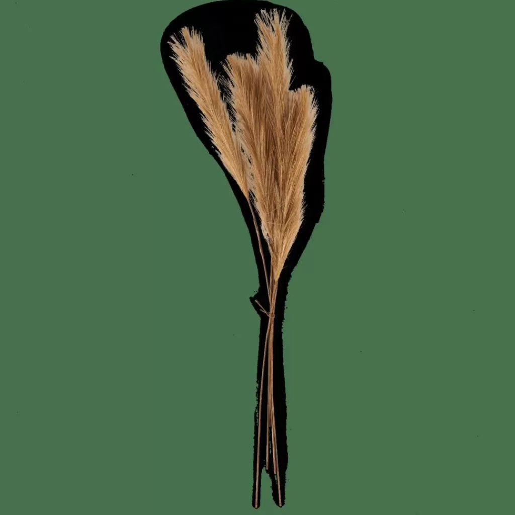 Flash Sale CASA PLUME Plumas Decorativas Castanho