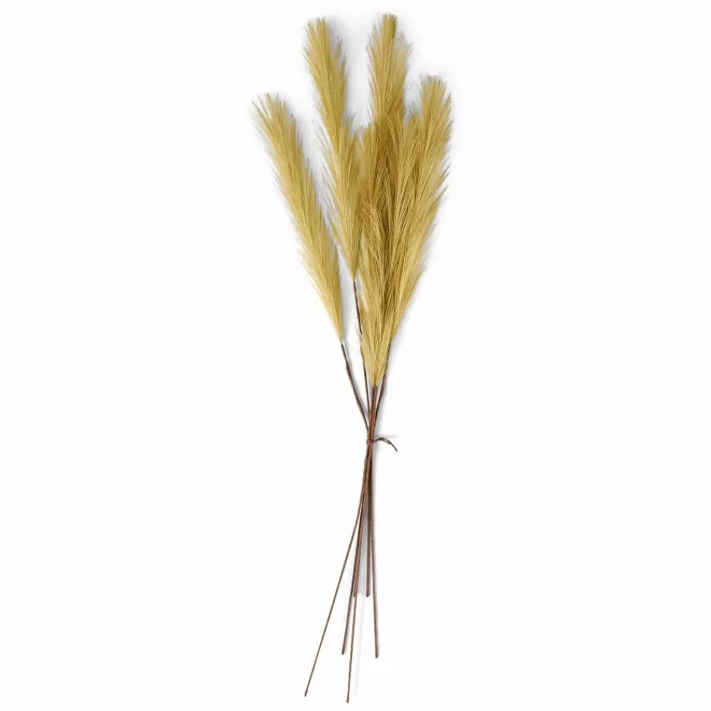 Flash Sale CASA PLUME Plumas Decorativas Castanho Claro