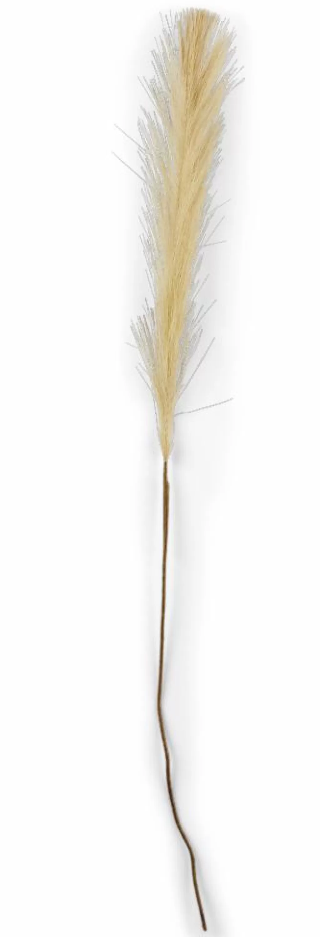 Flash Sale CASA PLUME Plumas Decorativas Castanho Claro