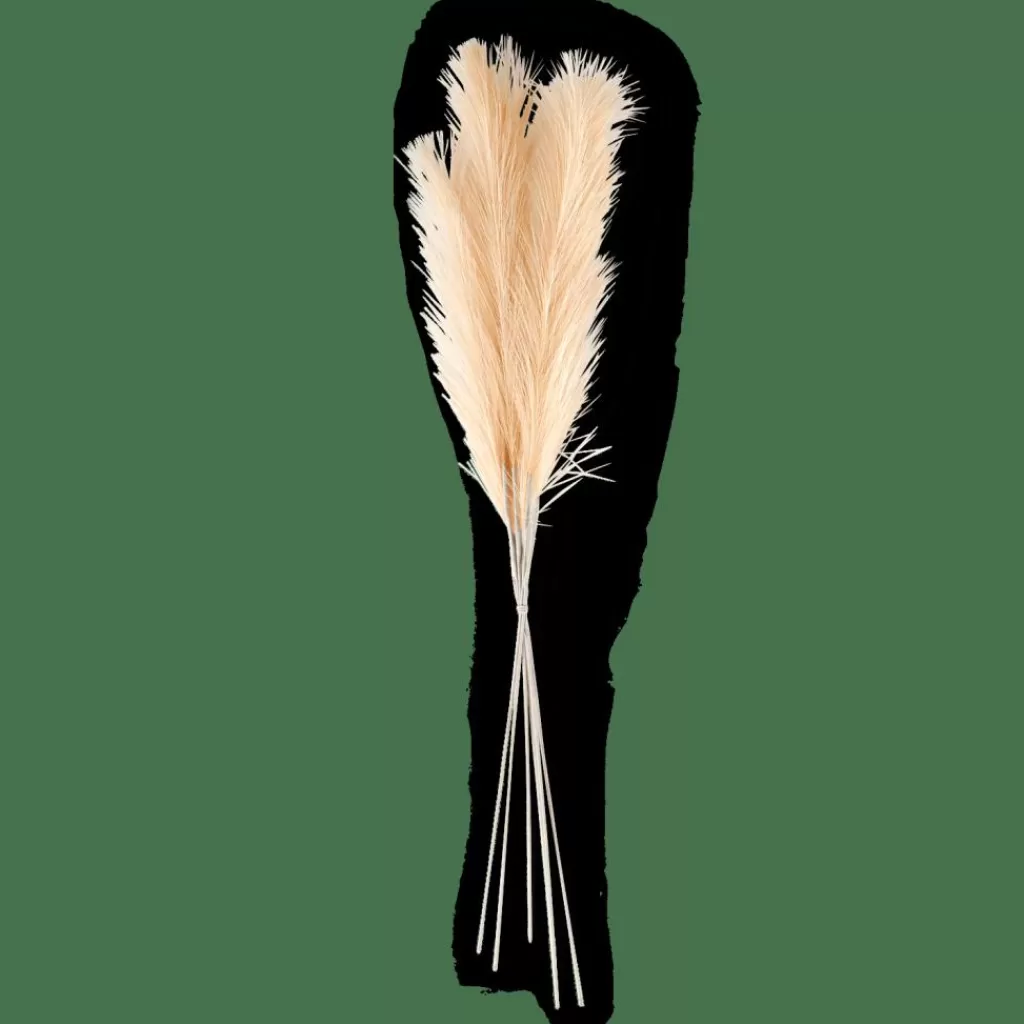 Flash Sale CASA PLUME Plumas Decorativas Creme