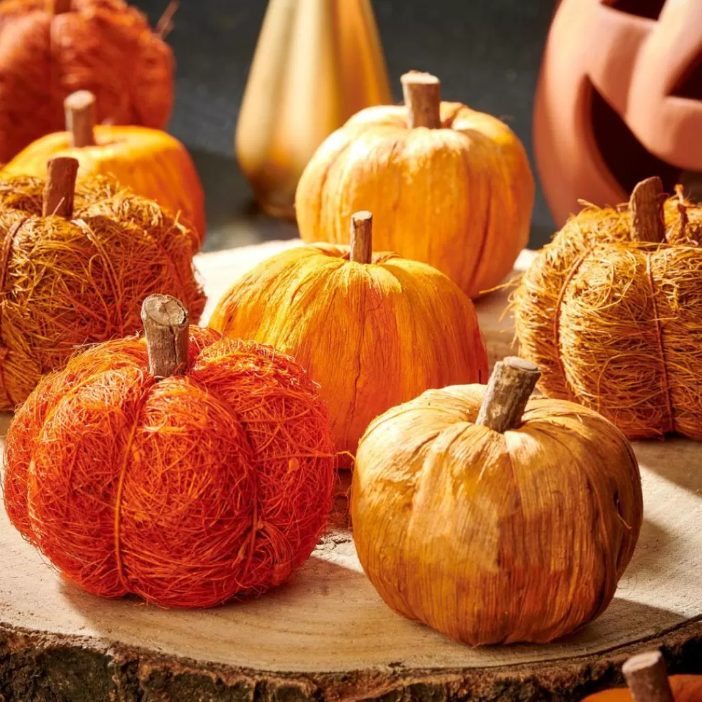 Shop CASA PUMPKIN Decoração Cor-de-laranja