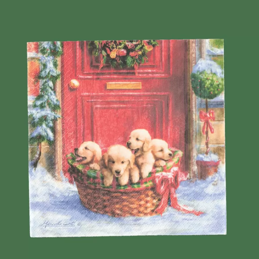Best CASA PUPPIES Guardapos Conjunto De 20 Multicolor