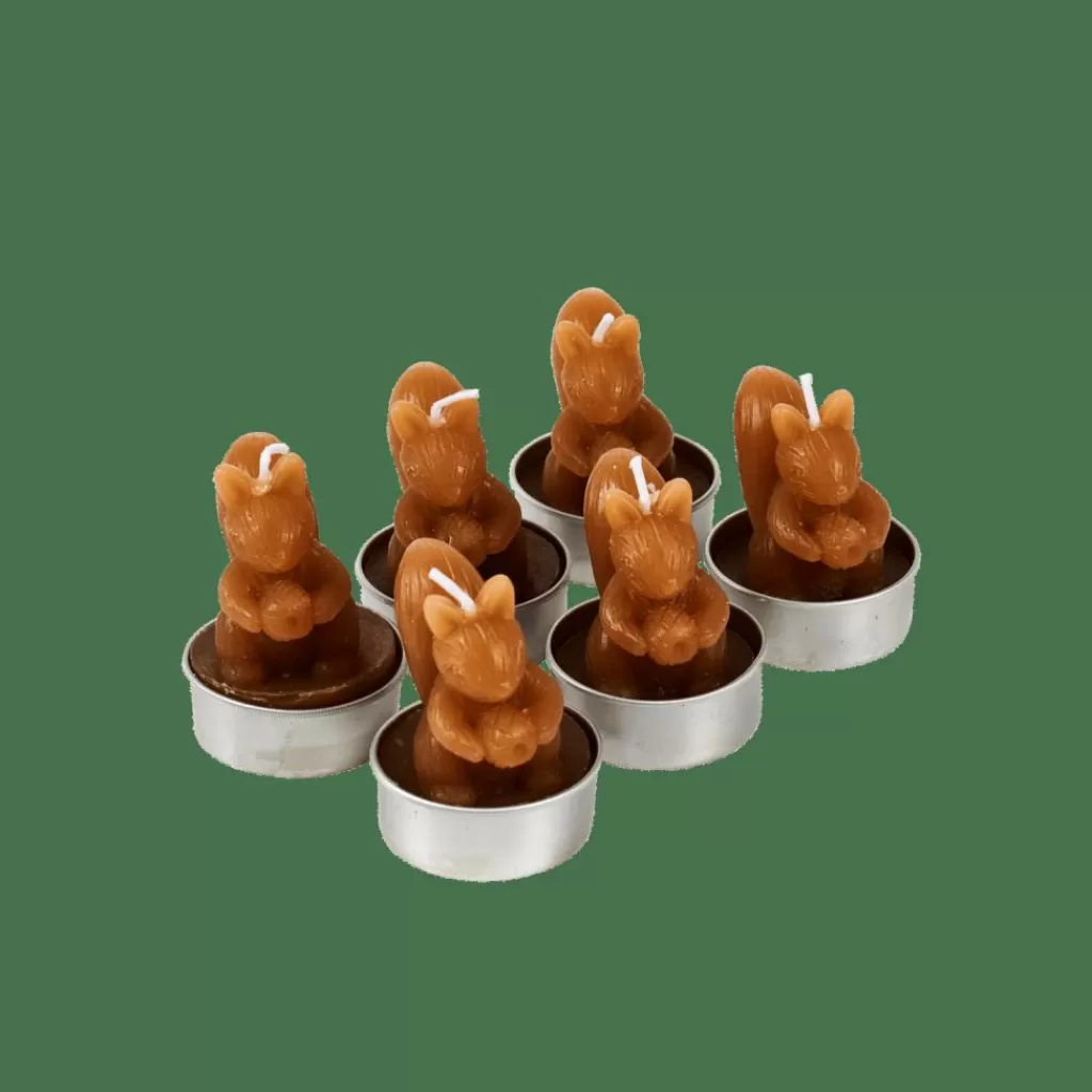 Clearance CASA SQUIRREL Velas Para Lamparina Conjunto De 6 Castanho