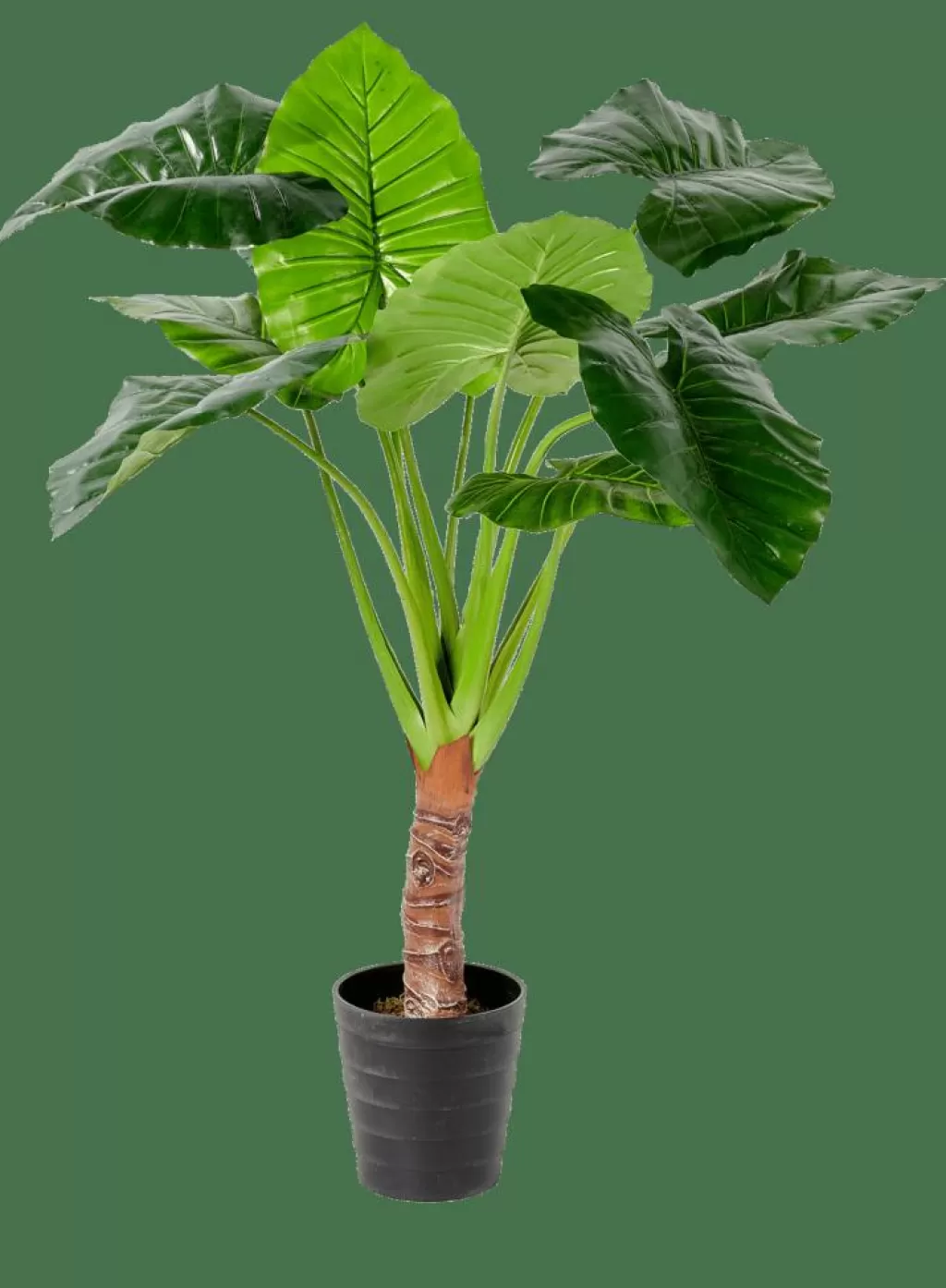 Best Sale CASA TARO Planta Artificial Arão Verde