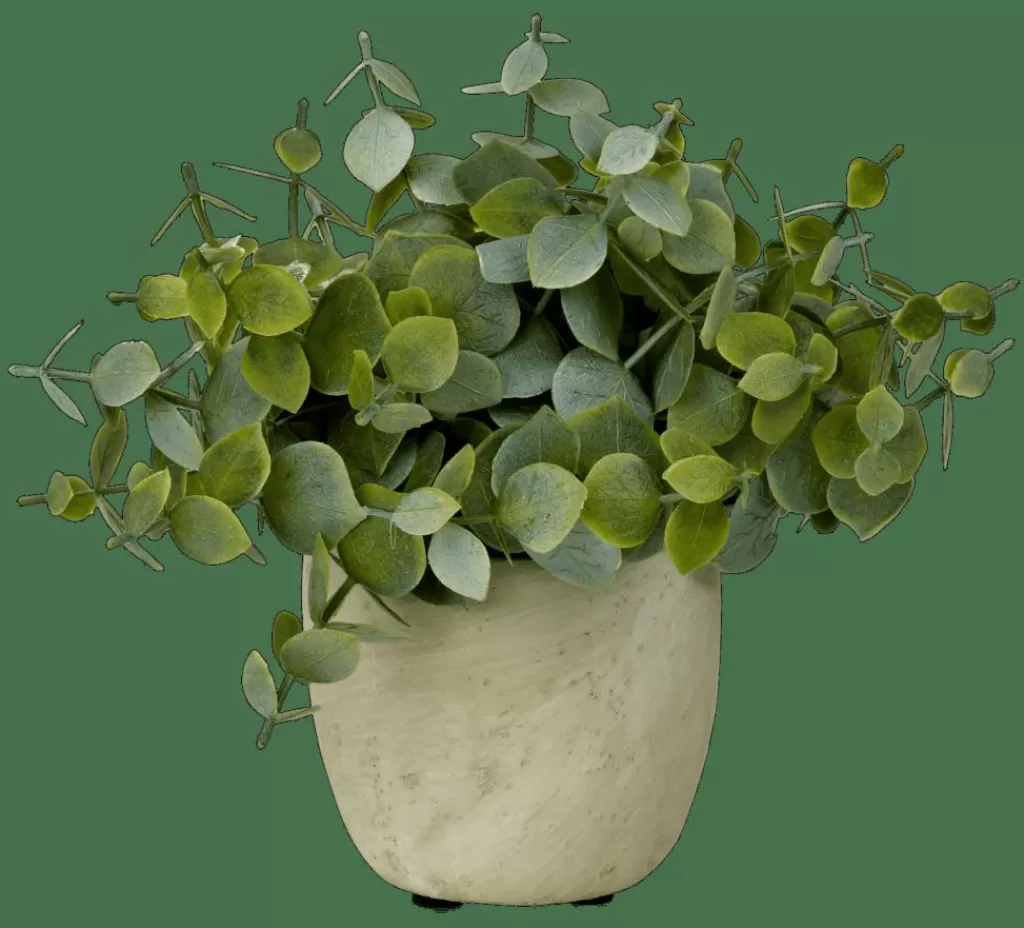 Best Sale CASA TERRA Planta Em Vaso Branco, Verde