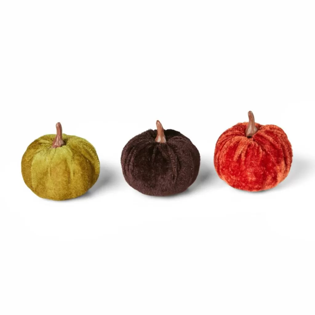 Discount CASA VELVET Abóboras Decorativas Conjunto De 9 Multicolor