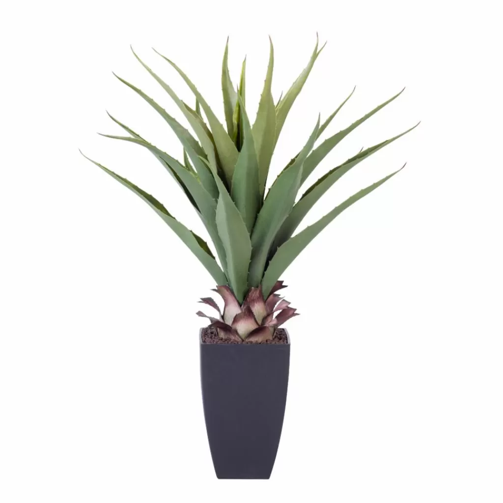 Cheap CASA VERA Vetplant Op Stick Verde